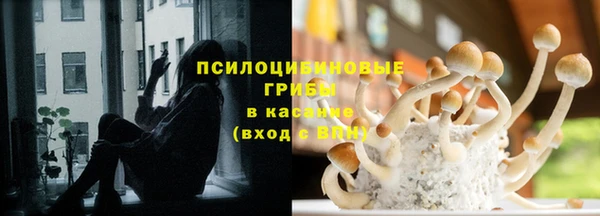 тгк Алексин