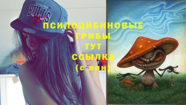 тгк Алексин