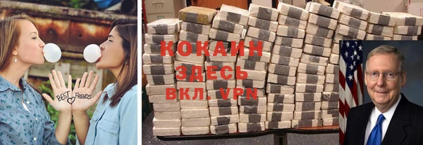 тгк Алексин