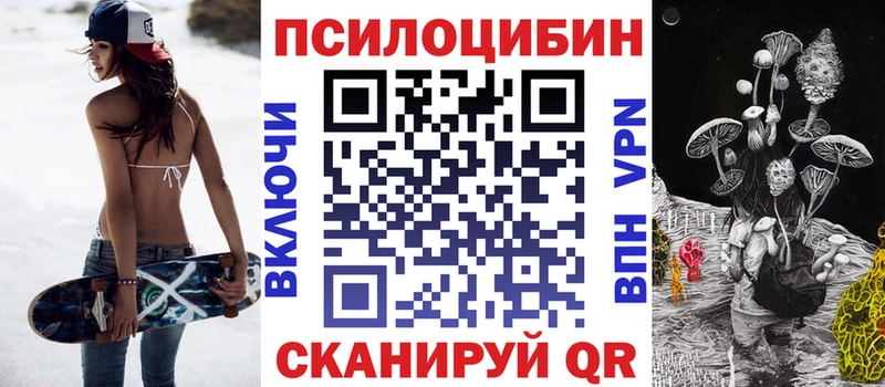 цены наркотик  Гаврилов Посад  Галлюциногенные грибы MAGIC MUSHROOMS 